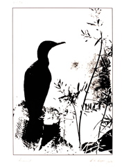 76_02.Cormorant