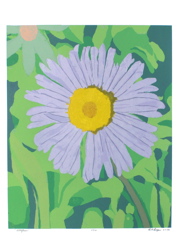 2001_2.Wildflower