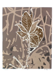 2001_8.A Frosty Leaf