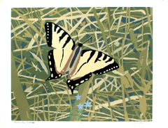 2003_07.Canadian Tiger Swallowtail